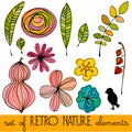 Set of illustrated retro nature elements