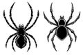 Set of Illustration of dangerous spider in vintage monochrome style. Design element for logo, emblem, sign, poster, card