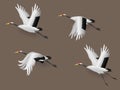 Set of Illustration Japanese Crane Birds Flying