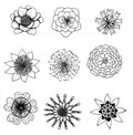 Set illustration of nine black and white flowers in graphic