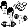 Set of illustrations of athlete hand with dumbbell, kettlebell. Design element for poster, card, banner, sign.