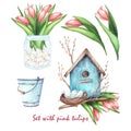 Set of illustrations with birdhouse and tulips in a glass jar Royalty Free Stock Photo