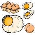 Set of Illustrations of chicken eggs in engraving style. Design element for poster, card, banner, sign. Royalty Free Stock Photo