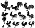 A set of illustrations of a Chinese rooster in profile.