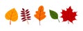 Set of illustrations of colorful autumn leaves