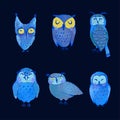 Set illustrations of cute night owls