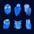 Set illustrations of cute night owls