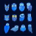 Set illustrations of cute night owls