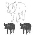 Set of illustrations depicting pigs.