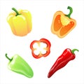Set of illustrations of different types of peppers Royalty Free Stock Photo