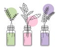 A set of illustrations with flowers and plants. Branches with leaves in jars, vases. Logo of cosmetics.