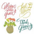 Set of illustrations with hand drawn lettering. Think green. Just bloom. Bloom with grace. Home sweet home