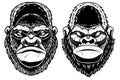 Set of Illustrations of head of gorilla ape in vintage monochrome style. Design element for logo, emblem, sign, poster
