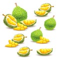 Set of illustrations, icons of a durian fruit