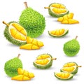 Set of illustrations, icons of a durian fruit