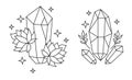 A set of illustrations of magic crystals with plants.