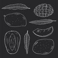 A set of illustrations of mango fruits in different types and leaves of the mango tree. White outline on a black