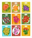 A set of illustrations of 9 pieces. Seeds of garden flowers in a paper bag. Bright color sketch. Vector.
