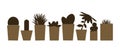 Set of illustrations and silhouettes of flower pots with cacti and plants