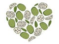 A set of illustrations of soursop fruits in different types and leaves of the soursop tree. Color drawings are isolated on a white