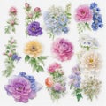 set of illustrations of stickers with different pink blue flowers peonies and anemones and violets and delphinium Royalty Free Stock Photo