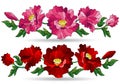 Set of illustrations in the style of stained glass with compositions of bright poppies, flowers isolated on a white background