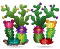 Stained glass illustration with compositions of cacti, plants isolated on a white background