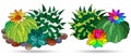 Stained glass illustration with compositions of cacti, plants isolated on a white background Royalty Free Stock Photo
