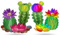 Stained glass illustration with compositions of cacti, plants isolated on a white background Royalty Free Stock Photo