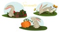 A set of illustrations for three months of summer with rabbits in different situations. Pictures for children's
