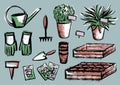 A set of illustrations on the topic of planting plants. A tool with seedlings, pots, boxes and a flower in a pot. In the