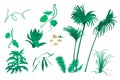 Set of illustrations of tropical leaves and palm trees ma Royalty Free Stock Photo