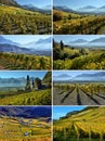 Set image. panorama of autumn vineyards in Switzerland View on L Royalty Free Stock Photo
