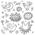 Set of images of birds. Design elements in doodle style. Natural style, branches, plants, eggs, nests.