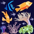 Set of images of bright exotic fish , coral , actinium isolated on dark blue background