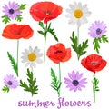 Set of images of bright poppies and multi-colored daisies isolated on a white background with the inscription summer flowers