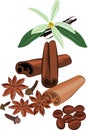 Set of images of the cinnamon, vanilla, cloves, coffee, anise.