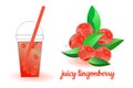 Set of images with glass of juicy lingonberry juice and whole lingonberry bush. Illustration in bright colors on white background