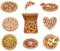 Set of images of pizzas of different types. Vector illustration on white background.