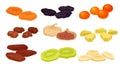 Set of images of various dried fruits. Vector illustration on white background. Royalty Free Stock Photo
