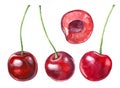 Set of images of watercolor cherry fruits