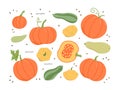 The set includes pumpkins, zucchini, and patissons Royalty Free Stock Photo