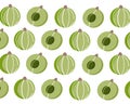 Set of Indian gooseberry fruits Amla, phyllanthus emblica isolated on white