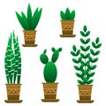 Set of indoor flowers.Green flowers in brown pots.A pot with a geometric pattern.Interior item.Vector illustration Royalty Free Stock Photo