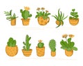 A set of indoor flowers in pots. Stylized shelf with cacti and succulents and other plants isolate. Vector illustration Royalty Free Stock Photo