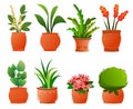 Set of Indoor plants and flowers. In ceramic pots. Homemade beautiful herbs. Isolated on white background. Cartoon fun Royalty Free Stock Photo
