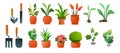 Set of Indoor plants and flowers. Garden tools and seedlings. In ceramic pots. Homemade beautiful herbs. Isolated on Royalty Free Stock Photo