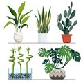 Set of indoor plants in pots. Vector hand drawn illustration. Modern and elegant home decor