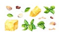 Set of ingredients for basil pesto sauce - glass jar, green basil leaves, garlic, cheese, pine nuts. Watercolor food