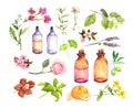 Set of ingredients for cosmetic, perfumery, medical oils. Herbs and flowers, bottles. Watercolor collection Royalty Free Stock Photo